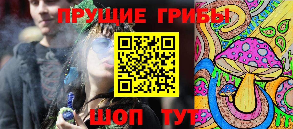Новошахтинск  Галлюциногенные грибы Magic Shrooms  где купить наркотик  Вход с VPN 