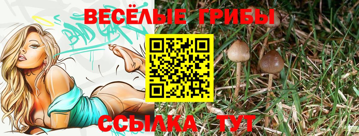 Псилоцибиновые грибы ЛСД Новошахтинск